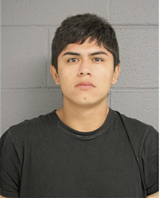 FERNANDO LOPEZ, Cook County, Illinois