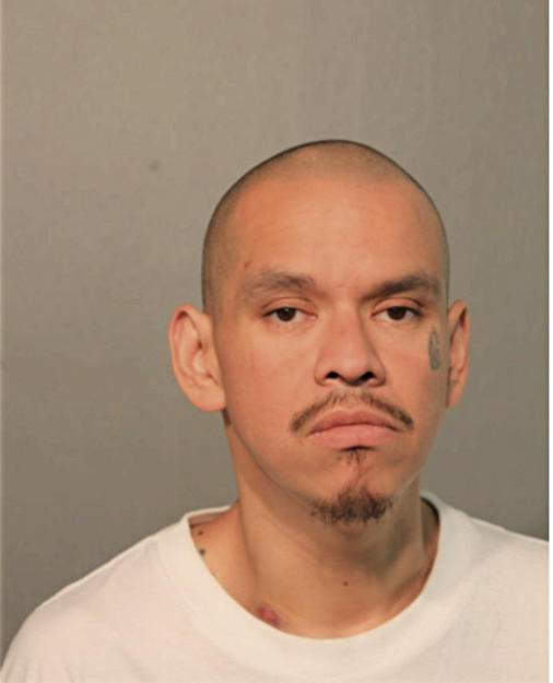 GABRIEL MENDOZA, Cook County, Illinois