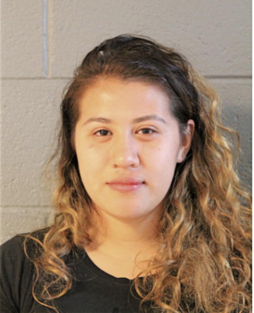 AIDREA PALAFOX, Cook County, Illinois