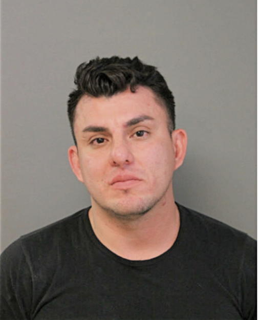 JOSEPH R ORTEGA, Cook County, Illinois