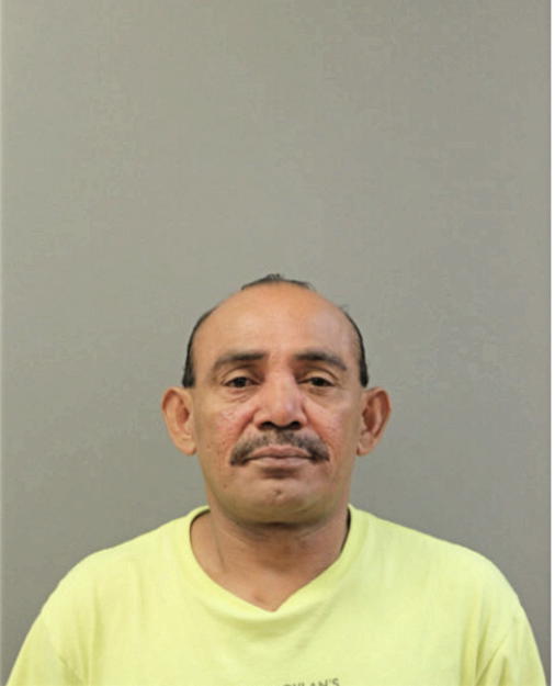 LUIS A RAMIREZ, Cook County, Illinois