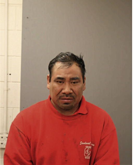 JULIO G SANTOS, Cook County, Illinois