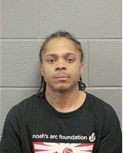WESLEY P STOKES, Cook County, Illinois