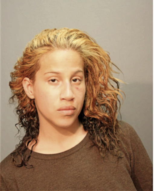SUSAN TORRES, Cook County, Illinois