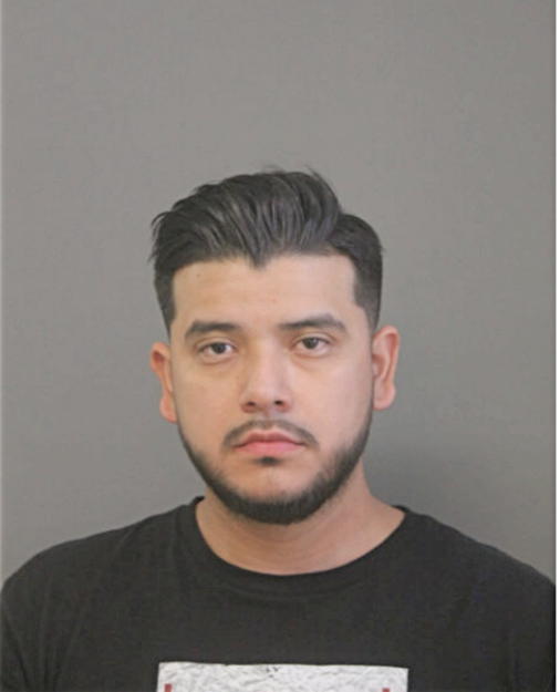 LUIS E TREJO, Cook County, Illinois