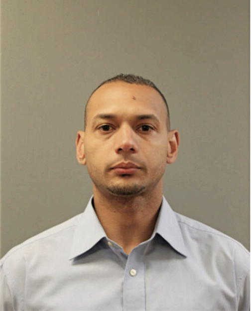 PEDRO A VERDEJO MUNIZ, Cook County, Illinois