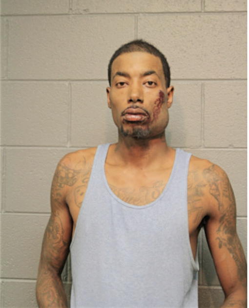 TERRY T WEBSTER, Cook County, Illinois