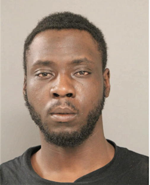 MAURICE L WHITE, Cook County, Illinois