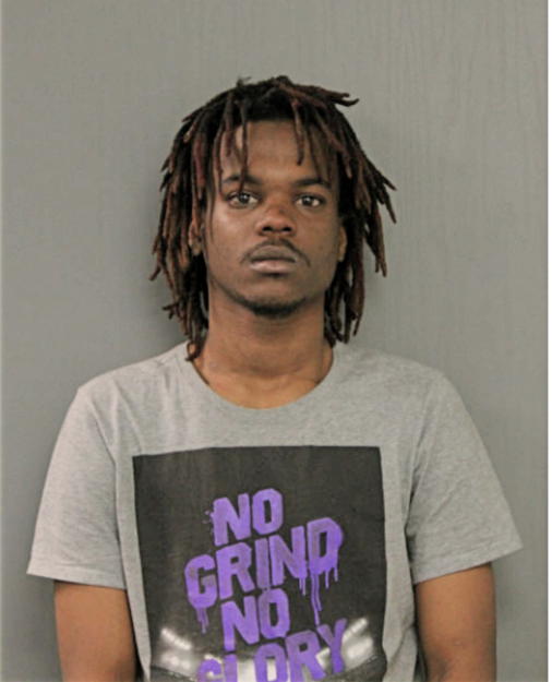 JOEL J WILLIAMS, Cook County, Illinois