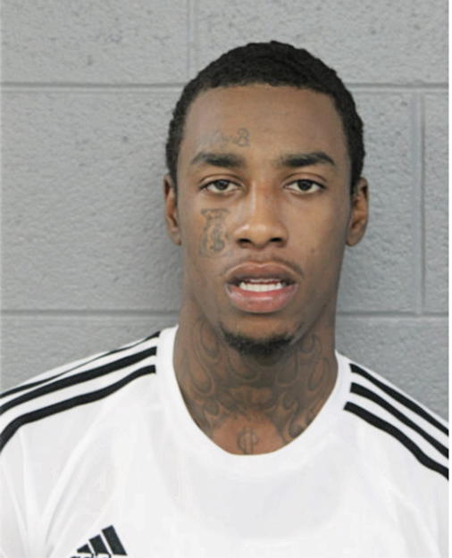 BRANDON L BROWN, Cook County, Illinois