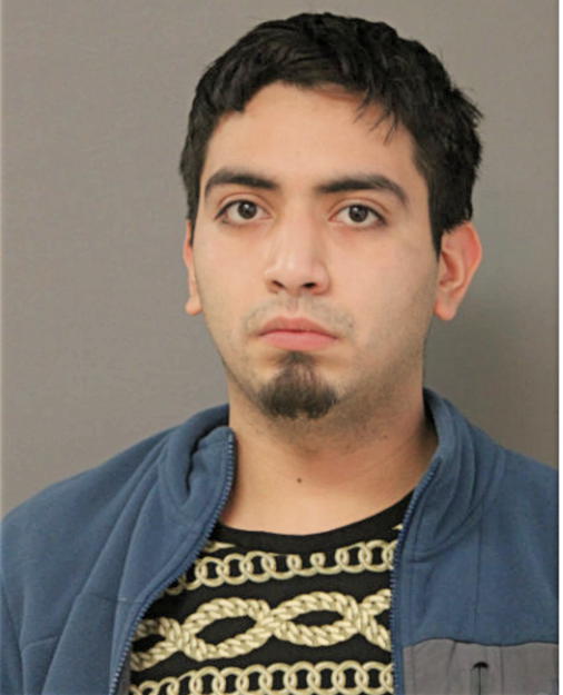 JAVIER V DELGADO, Cook County, Illinois