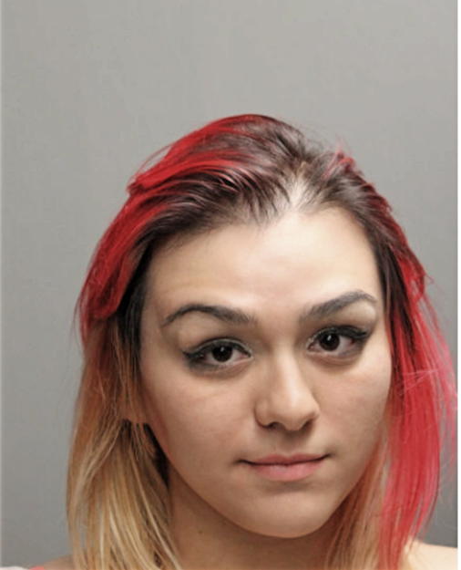 STEPHANIE CRYSTAL FITZ, Cook County, Illinois