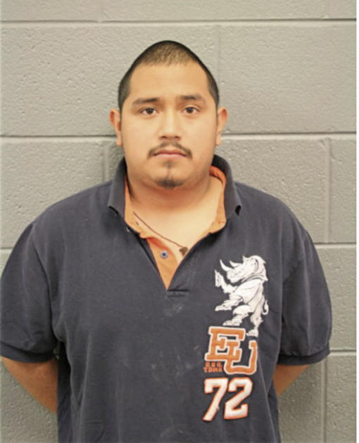 GERARDO FLORES, Cook County, Illinois