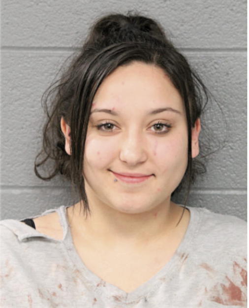 MARITZA A HICKEY, Cook County, Illinois