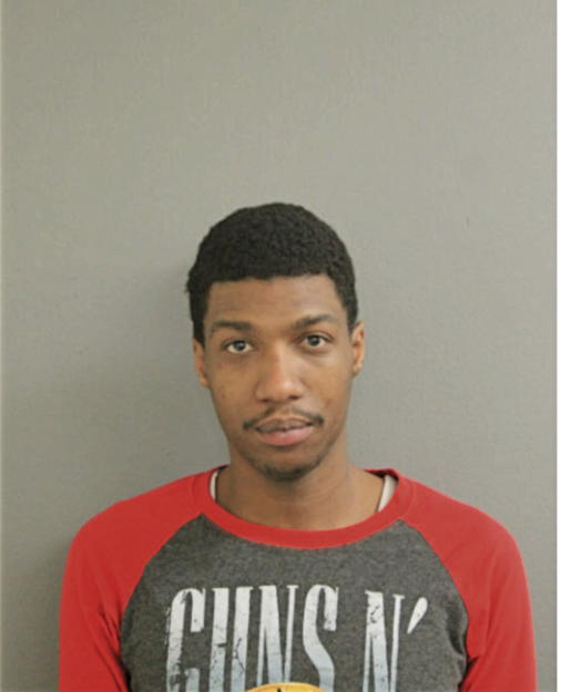 ROBERT T HUNT, Cook County, Illinois