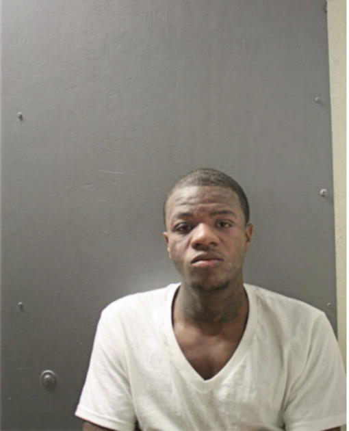 STEPHON D JOHNSON, Cook County, Illinois