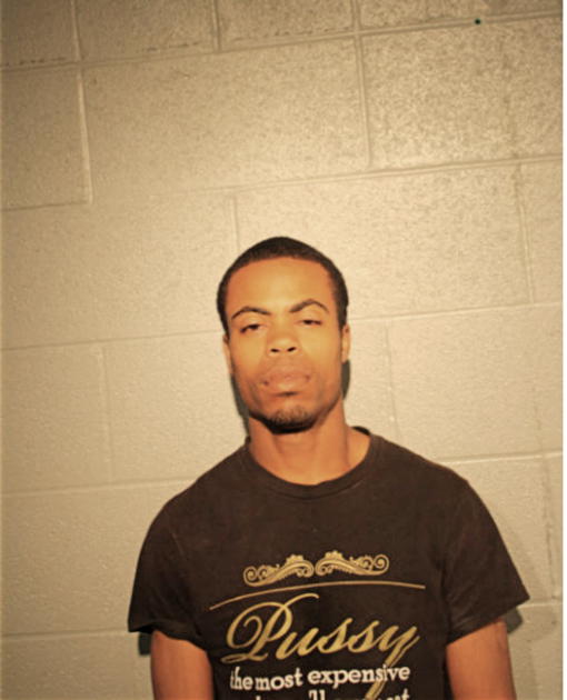 ROBERT S JORDAN, Cook County, Illinois