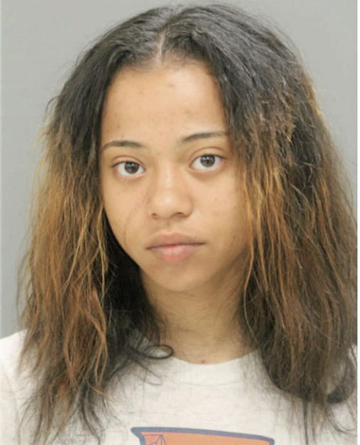 SIERA L NOBLE, Cook County, Illinois
