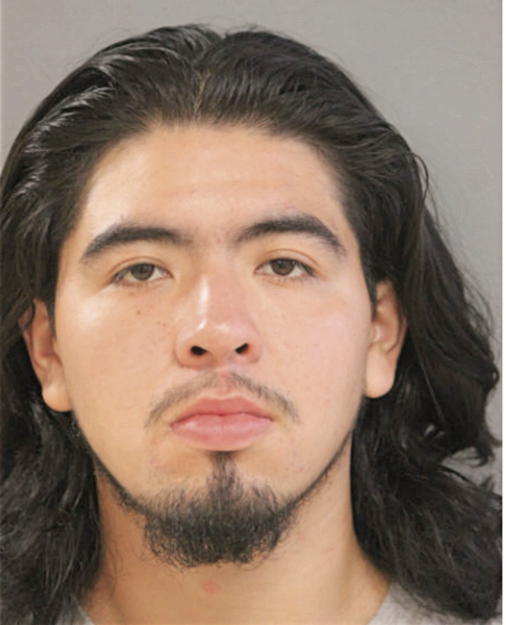 LUIS M LABASTIDA, Cook County, Illinois