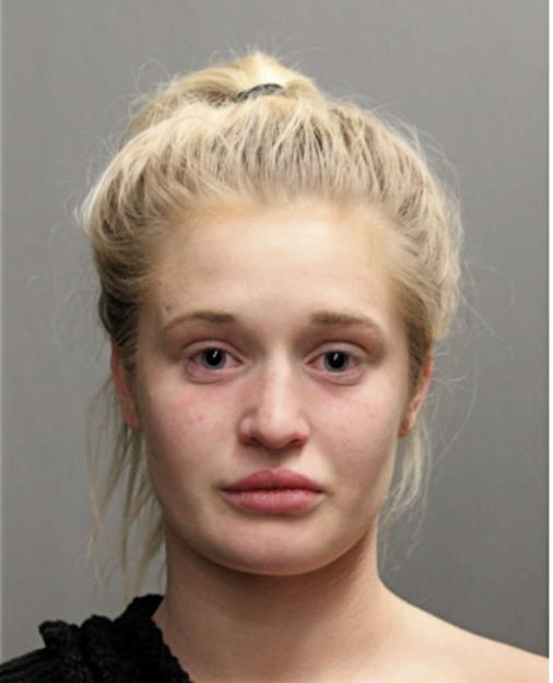 CORTNEY C LANGER, Cook County, Illinois