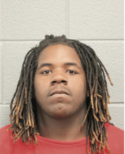 DEVON M LEE, Cook County, Illinois