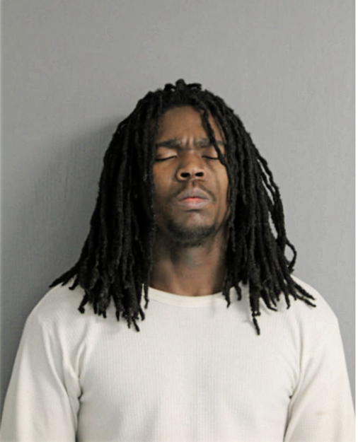 TRAVIS T MATTHEWS, Cook County, Illinois