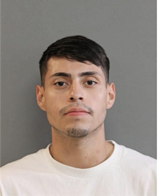 GUSTAVO MIRANDA, Cook County, Illinois