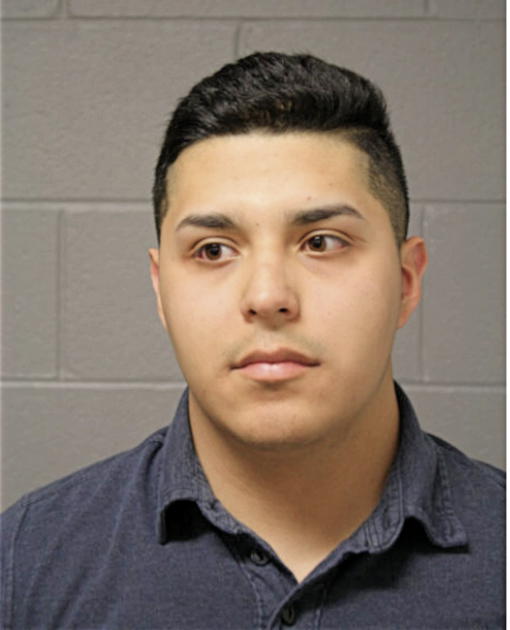 GUADALUPE ROBLEDO, Cook County, Illinois
