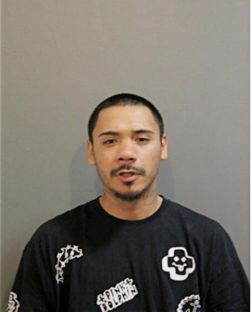 MICHAEL A RODREGUIEZ, Cook County, Illinois