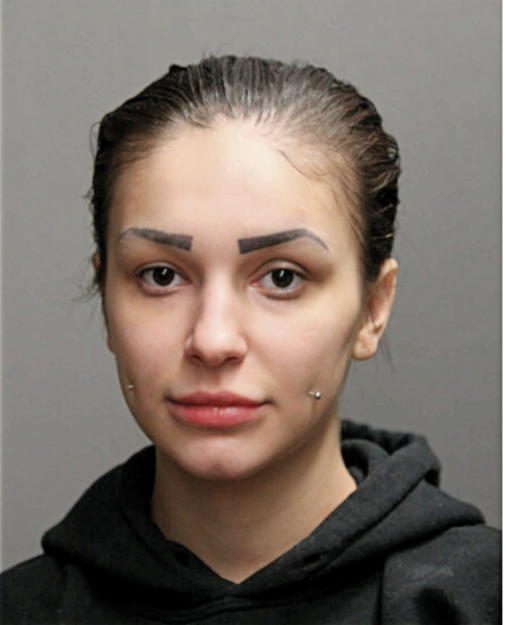 ELISIA R RODRIGUEZ, Cook County, Illinois