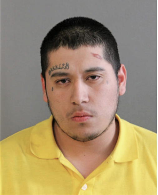JOEL SANDOVAL, Cook County, Illinois