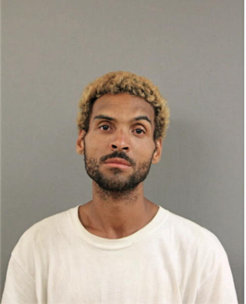 LUIS A SANTIAGO, Cook County, Illinois