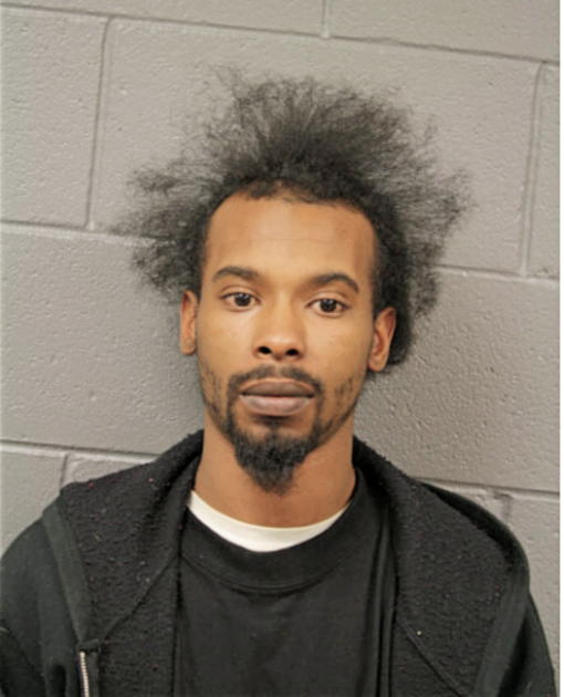 CHRISTOPHER D SWANSON, Cook County, Illinois