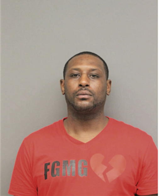 MICHAEL S TRIPLETT, Cook County, Illinois