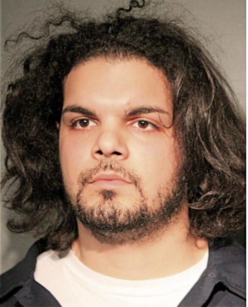 WILLIAM A VICENS, Cook County, Illinois