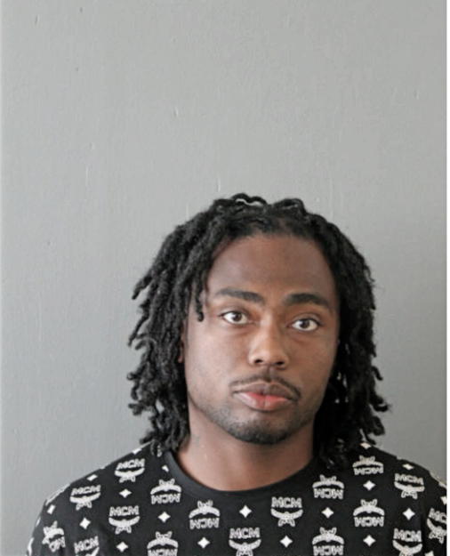 RONDELL L AGEE, Cook County, Illinois