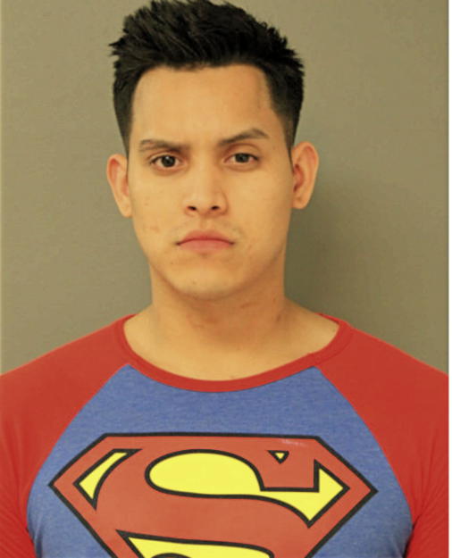 ALEXANDER F CAJAMARCA, Cook County, Illinois