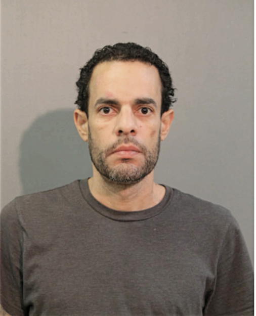 CARLOS M CARMONA, Cook County, Illinois