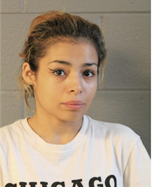 JESSICA L CASILLAS, Cook County, Illinois