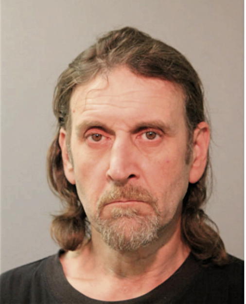 MICHAEL R FARINO, Cook County, Illinois