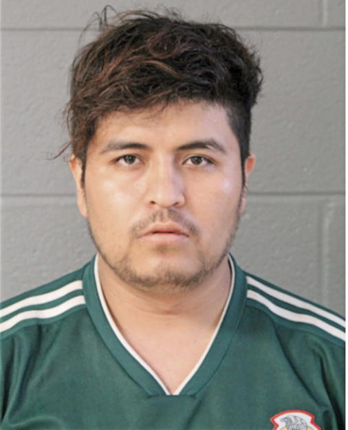 ENRIQUE R FONSECA, Cook County, Illinois