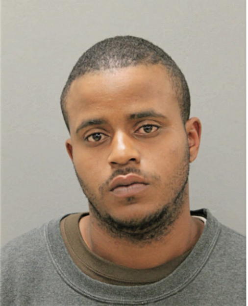 NIYO FOWLER, Cook County, Illinois