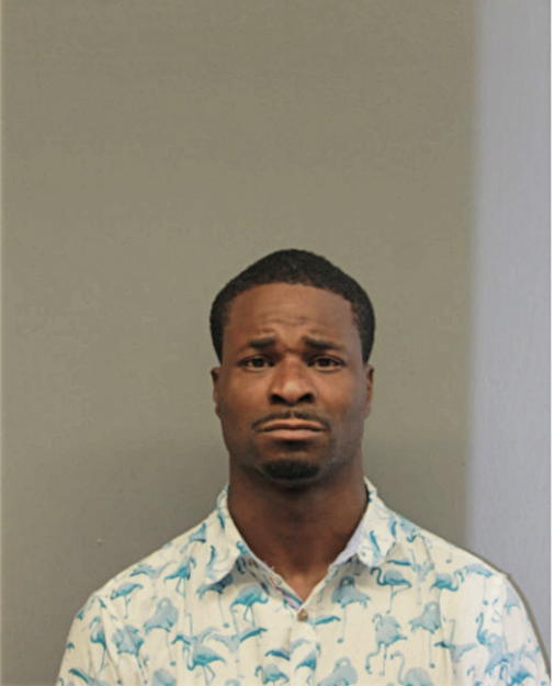 JAMES L GANT, Cook County, Illinois