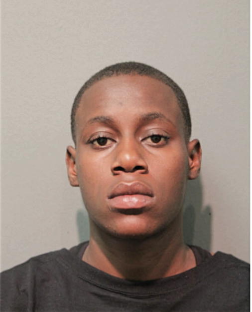 BRITTANY L JACKSON, Cook County, Illinois