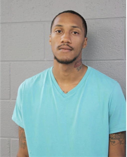 JOEL C JENKINS, Cook County, Illinois
