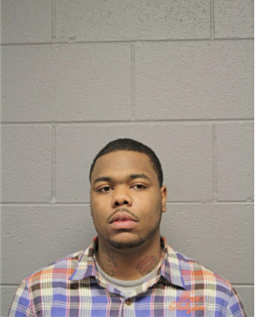 BRYCE A JOHNSON, Cook County, Illinois