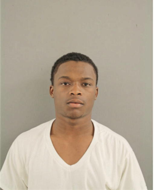 KEVIN R LEE, Cook County, Illinois
