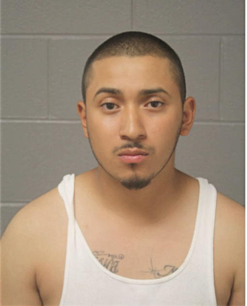 ALFREDO A LUNA, Cook County, Illinois