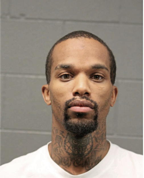 DAVID J MURPHY, Cook County, Illinois