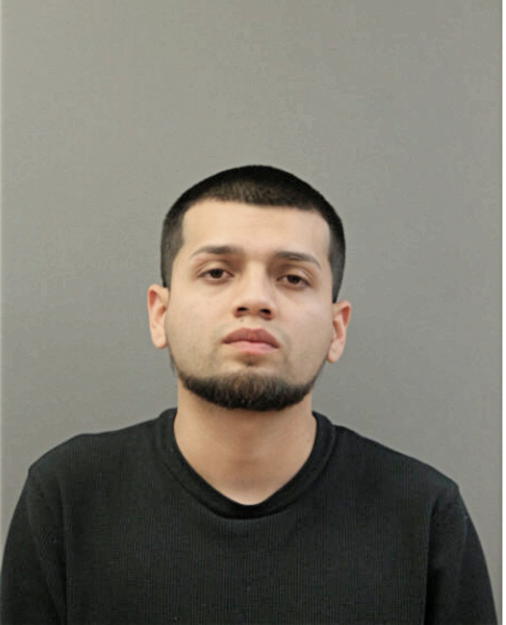 EDWIN J PADILLA, Cook County, Illinois
